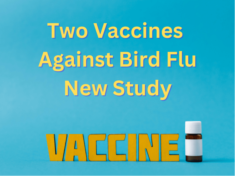 Bird Flu Vaccines New Study