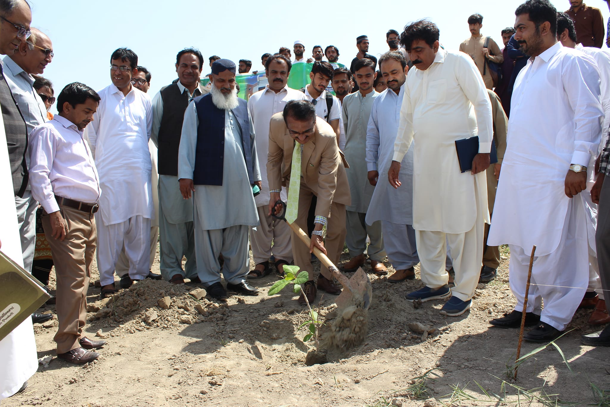 A tree plantation campaign was launched at the Main campus of Shaheed Benazir Bhutto University of Veterinary and Animal Sciences (SBBUVAS)