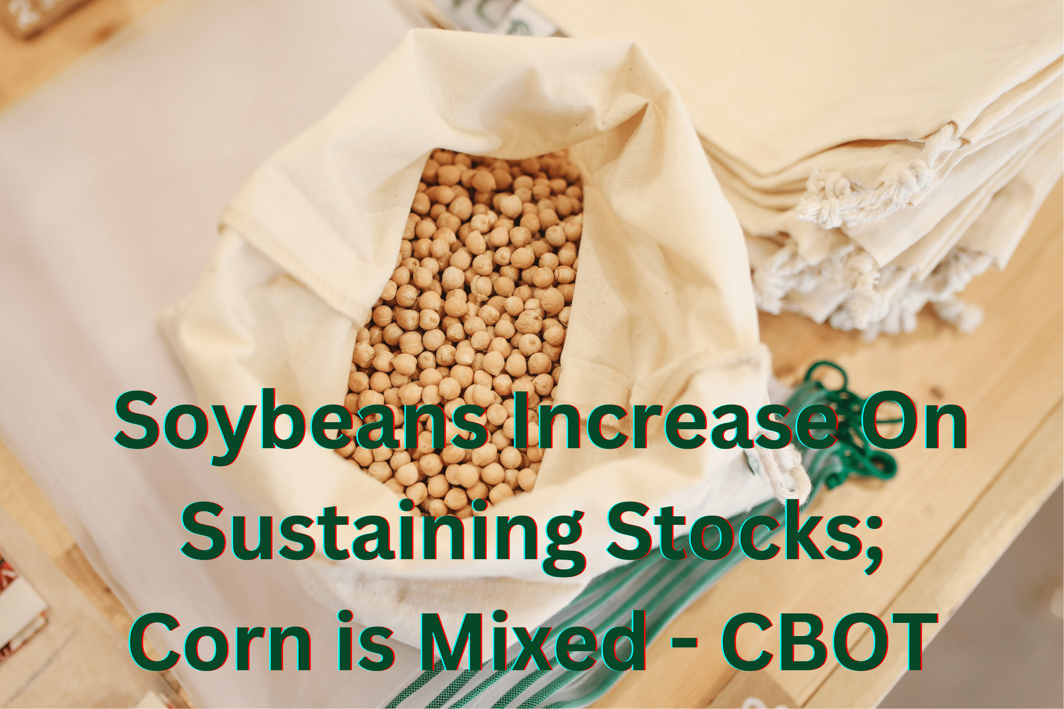 Soybeans increase on sustaining stock