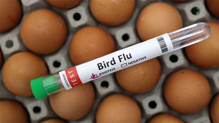 H5N1 Bird Flu Spread From Wild Birds to Farms.