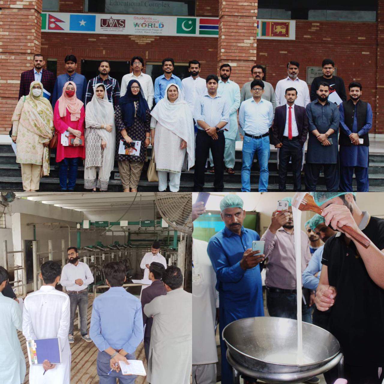 Hands-on Training on Cheese Making